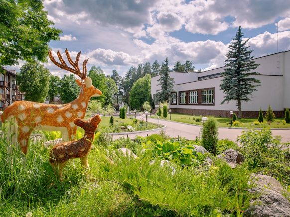 Загородный отель Яхонты Таруса, Грибовка