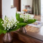 Двухместный (Тематический номер "Зейтун"), Этно-отель Джеваль