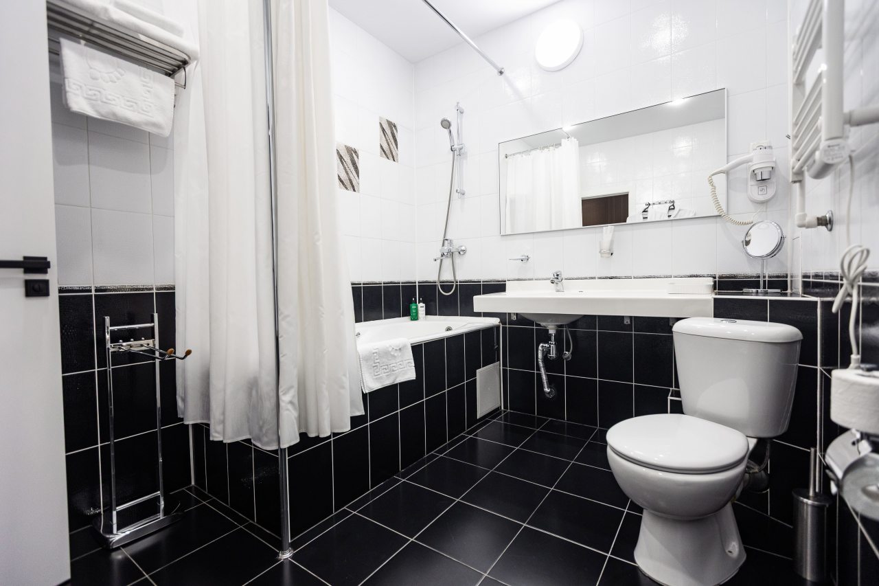 Люкс (Стандартный), Гостиница Дружба