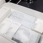 Люкс (Стандартный), Гостиница Дружба