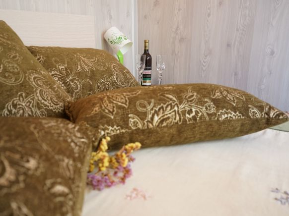 Фотография номера гостевого дома Элис Шевченко 92