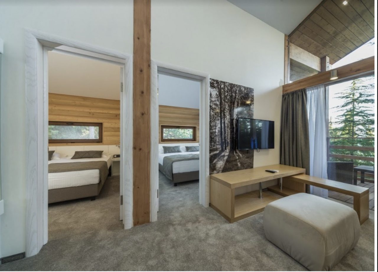 Трёхместный и более (Новый коттедж с двумя спальнями, кухней-студио и террасой), Эко-отель Поляна Сказок