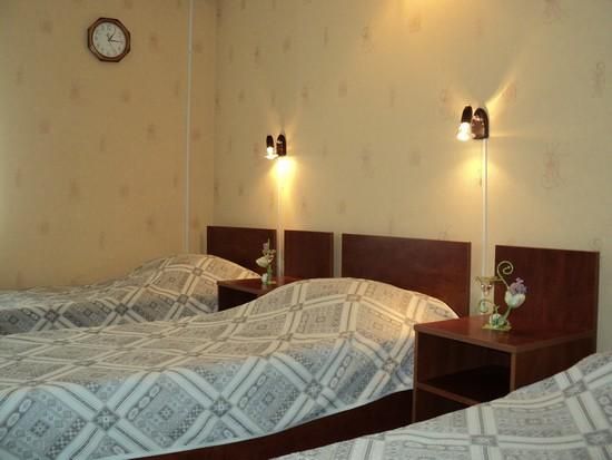 Фотография номера гостиницы Спутник
