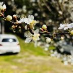 Автостоянка / Парковка, Гостевой дом Вилла Мария
