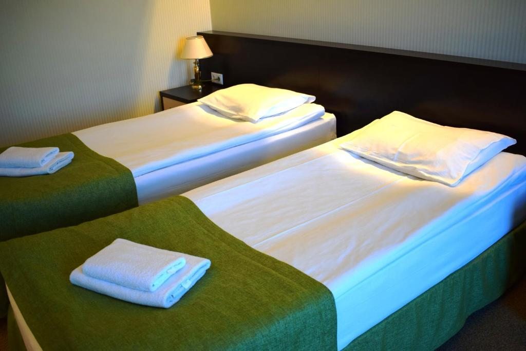 Двухместный (Двухместный номер с 1 кроватью или 2 отдельными кроватями) курортного отеля Автомобилист, Хоста