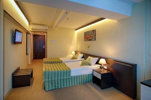 Двухместный (Стандартный двухместный номер с 1 кроватью или 2 отдельными кроватями) курортного отеля Автомобилист, Хоста