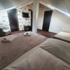 Двухместный (Мансарда. Двухместный номер с диваном), Отель Камелот