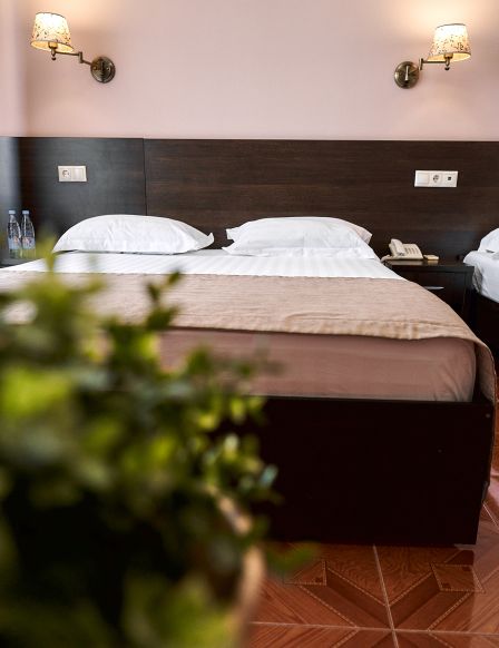 Фотография номера гостиницы Имера