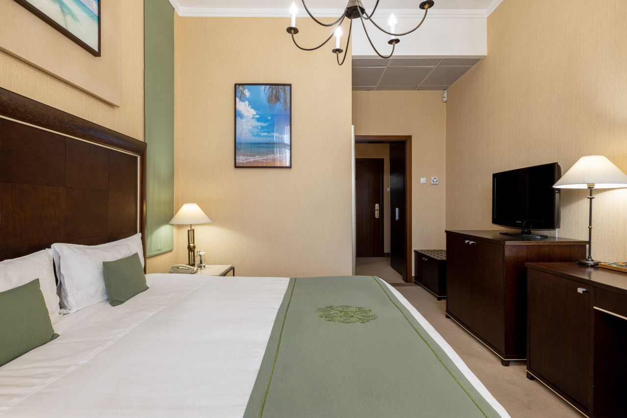 Двухместный (Стандарт 4 этаж), Спа-отель Острова