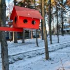 Пешие прогулки, Санаторий имени В. В. Володарского