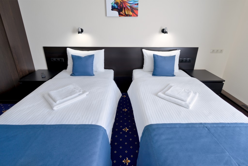 Двухместный (Стандарт Twin), РОС ОТЕЛЬ Измайлово