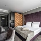 Двухместный (Стандарт с двуспальной кроватью (Double)), Спа-отель Kravt Nevsky Hotel & SPA