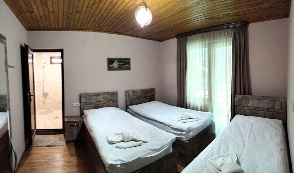 Двухместный (Двухместный номер Делюкс с 1 кроватью или 2 отдельными кроватями и балконом) гостевого дома Lisaneli, Местиа