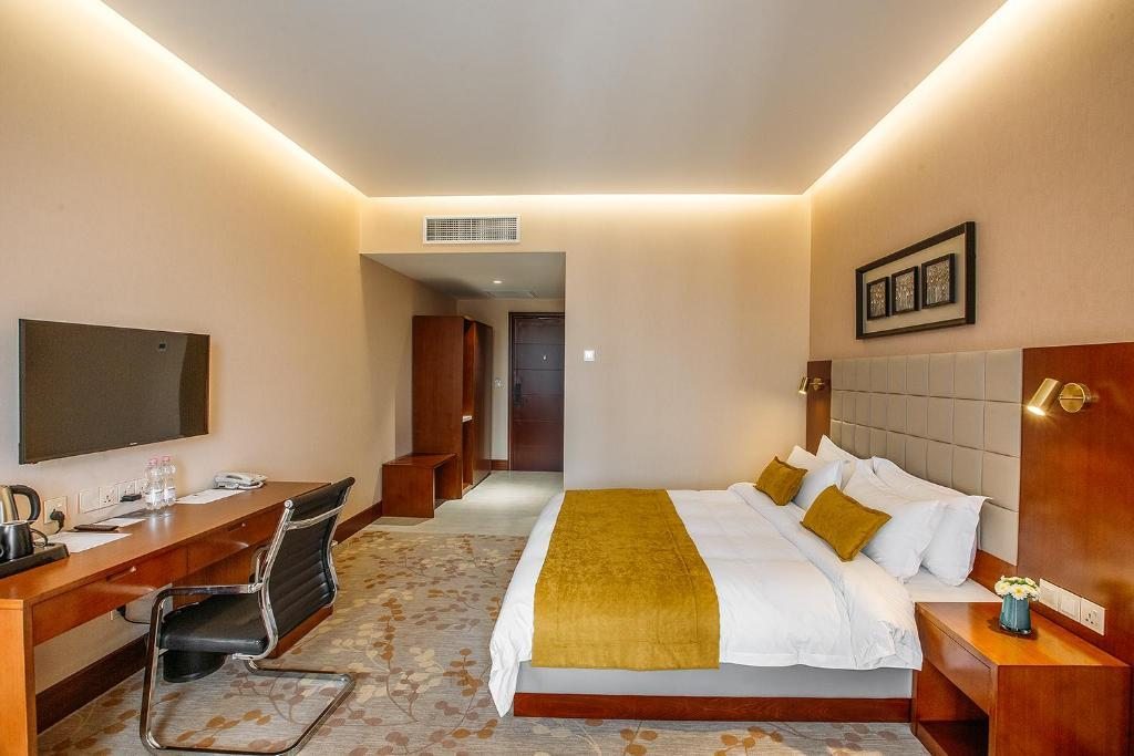 Двухместный (Номер Делюкс с кроватью размера «king-size») отеля Hotel Horizont, Тбилиси