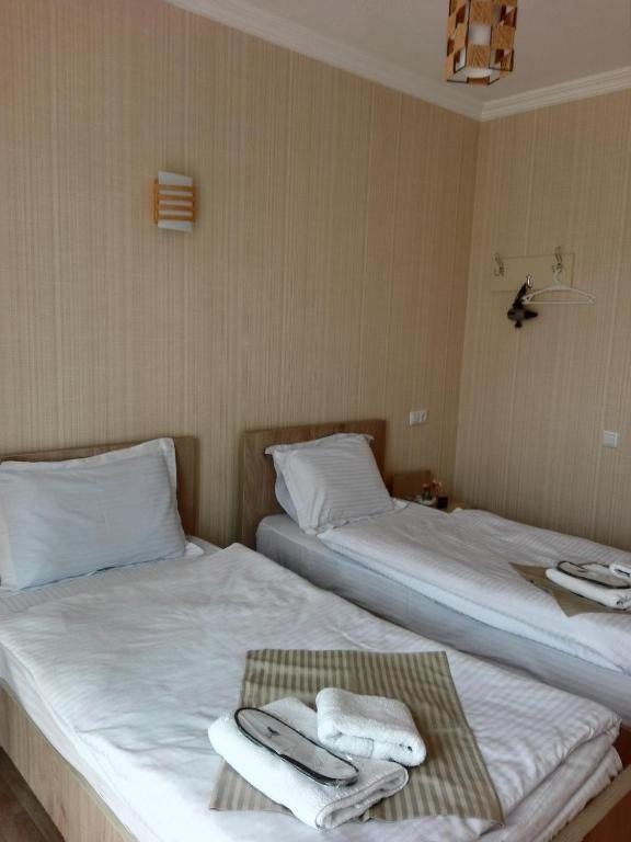 Двухместный (Двухместный номер с 2 отдельными кроватями) отеля Petre Palace, Тбилиси