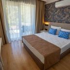 Двухместный (Стандартный двухместный номер с 1 кроватью), Armas Garden Hotel