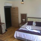 Двухместный (Стандартный двухместный номер с 1 кроватью), Comfort Başaran OTEL