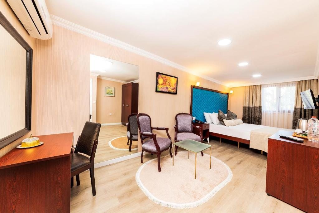 Двухместный (Двухместный номер Делюкс с 1 кроватью) отеля Asır Hotel&Suites, Стамбул
