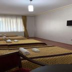 Трехместный (Трехместный номер эконом-класса), SİLİVRİ Safir Hotel