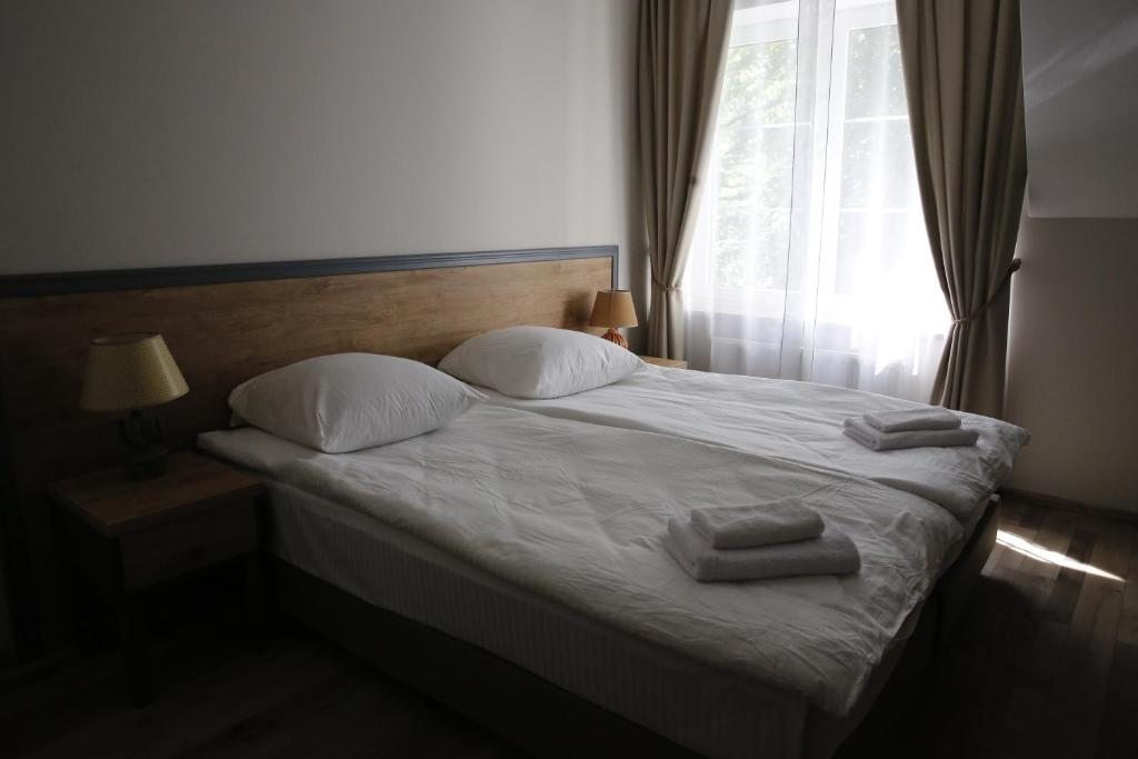 Двухместный (Стандартный двухместный номер с 2 отдельными кроватями) отеля Фрам, Светлогорск