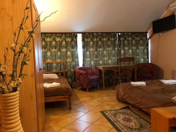 Фотография номера гостиницы Родина