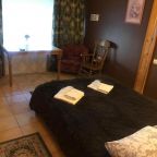 Двухместный (номер с 1 двуспальной кроватью), Отель Родина на Вознесенской