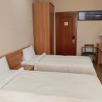 Двухместный (Стандарт 2-х местный без доп места), Гостиница Анфиса