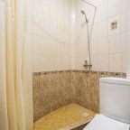 Двухместный (Стандартный 2-х местный раздельные кровати), Гостиница Анфиса