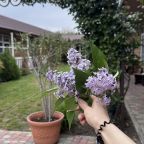 Четырехместный (Комфорт Семейный), Гостевой дом Анастасия