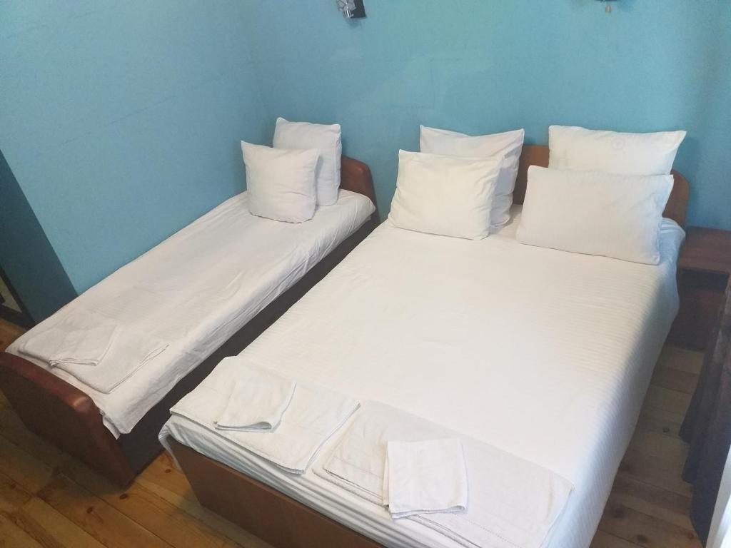 Двухместный (Двухместный номер с 2 отдельными кроватями и видом на озеро) отеля Алания, Листвянка