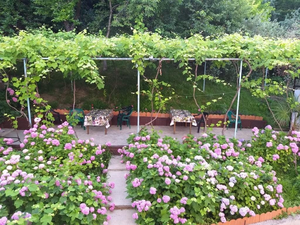 Четырехместный (Четырехместный номер эконом-класса с общей ванной комнатой), Гостевой дом Валентин