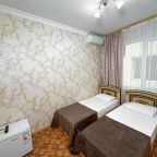 Двухместный (Стандартный двухместный номер с раздельными кроватями без балкона), Мини-отель Светлана