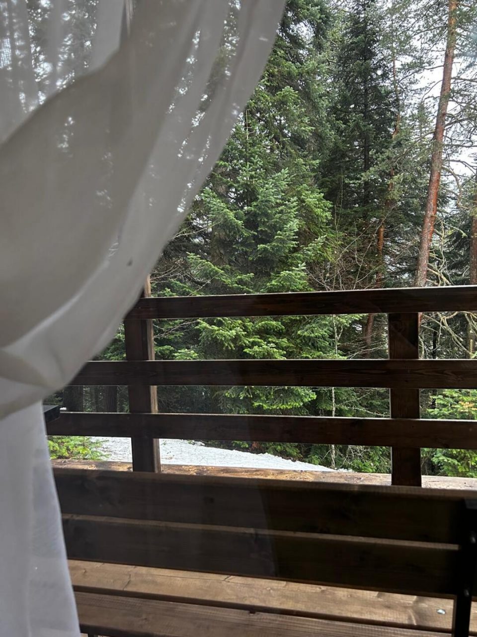 Дом (Лесная эйфория), База отдыха Пилигрим