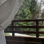 Дом (Лесная эйфория), База отдыха Пилигрим