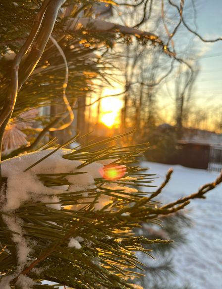 Гостевой дом Жданова апарт, Аксай