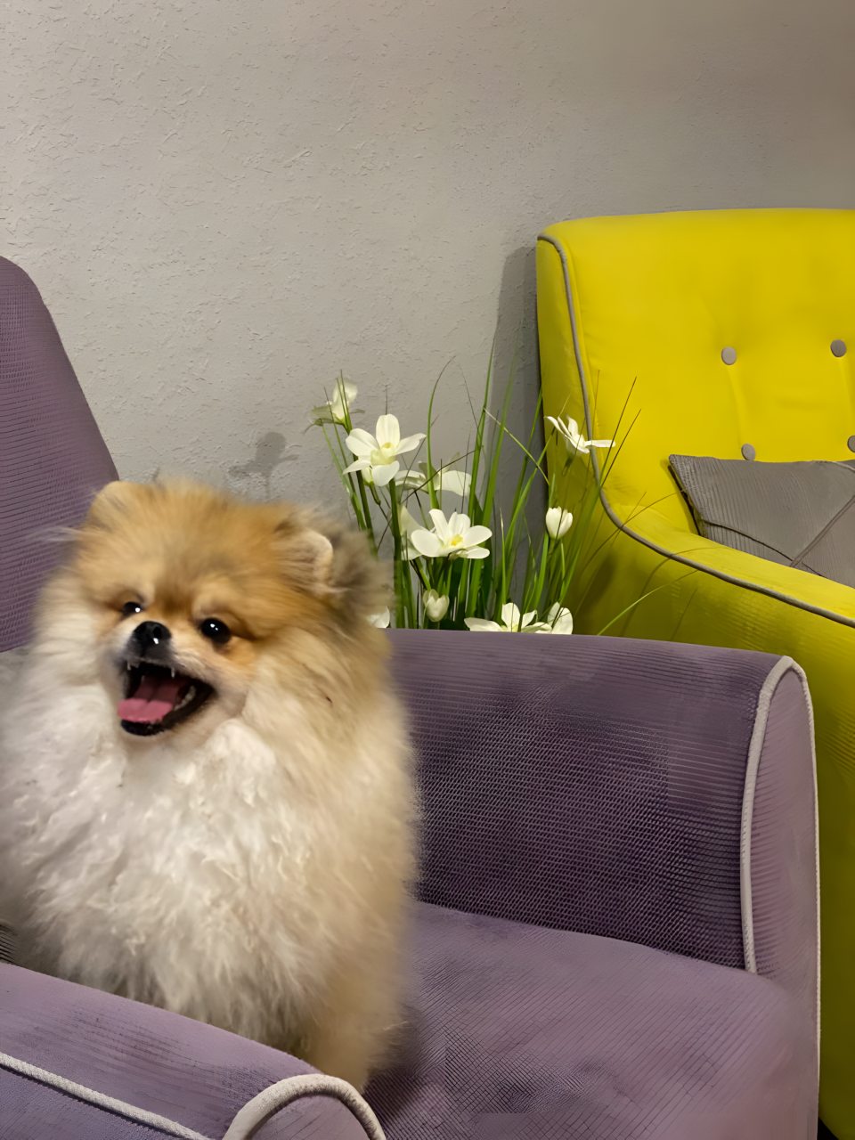 РАЗМЕЩЕНИЕ С ЖИВОТНЫМИ ВОЗМОЖНО