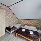 Люкс (Люкс 2х комнатный с кухней до 5 человек), Гостевой дом Оливия