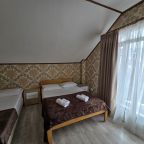 Люкс (Люкс 2х комнатный с кухней до 5 человек), Гостевой дом Оливия