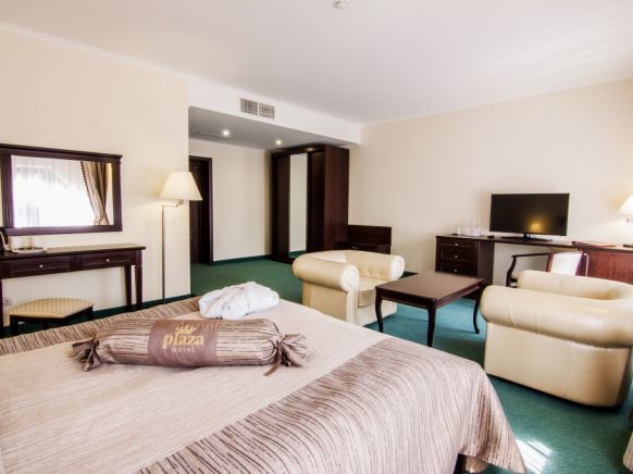 Фотография номера гостиницы Плаза
