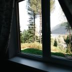 Двухместный (С двумя 1-спальными кроватями и видом на озеро), База отдыха Телецкие Терема