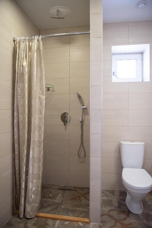 Двухместный (Двухместный номер с 1 кроватью или 2 отдельными кроватями), Гостиница Орион