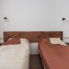 Двухместный (Двухместный номер с 1 кроватью или 2 отдельными кроватями), Гостиница Орион