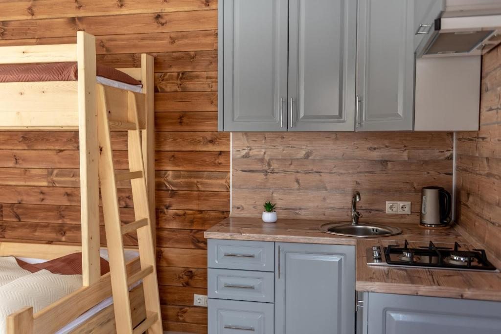 Трехместный (Трехместный номер с видом на горы), Гостиница Орион