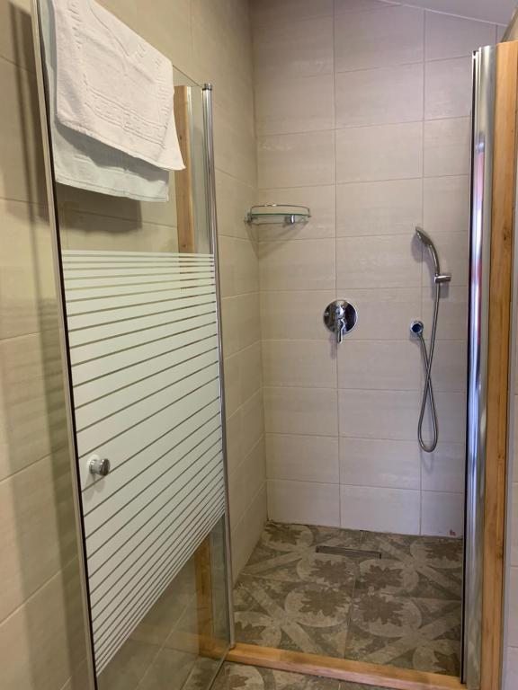 Апартаменты (Апартаменты с видом на горы), Гостиница Орион