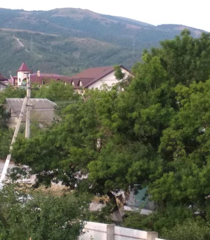 Двухместный (Большой двухместный номер с 1 кроватью или 2 отдельными кроватями), Гостевой дом Наше Лето