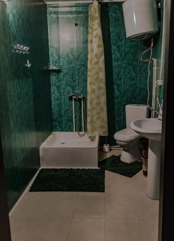 Семейный (Cемейный номер с собственной ванной комнатой) гостевого дома База отдыха повышенного комфорта Гранд Алтай, Манжерок