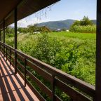 Двухместный (Стандарт), Гостевой дом AltaRio