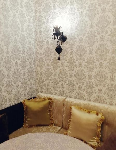Apartment Petergoff, Петергоф