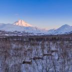 Шале (С одной спальней), Мини-отель Kamchatka Forest Lodge