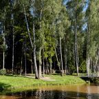 Объект находится в лесу, База отдыха Бабин Двор